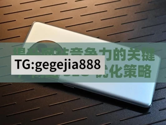 提升网站竞争力的关键，网站 SEO 优化策略解析,网站SEO优化，提升在线可见性的关键策略