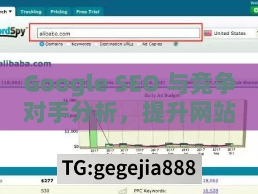 Google SEO 与竞争对手分析，提升网站竞争力的关键,Google SEO与竞争对手分析方法，提升在线可见性的秘诀