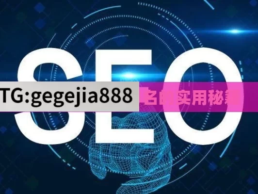 提升谷歌 SEO 排名的实用秘籍