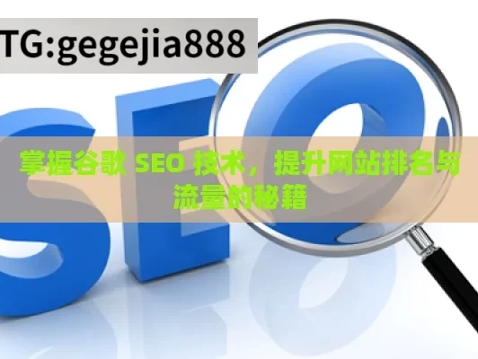 掌握谷歌 SEO 技术，提升网站排名与流量的秘籍