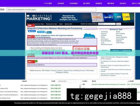 探秘谷歌 SEO 算法，提升网站排名的关键，探秘谷歌SEO算法之谜