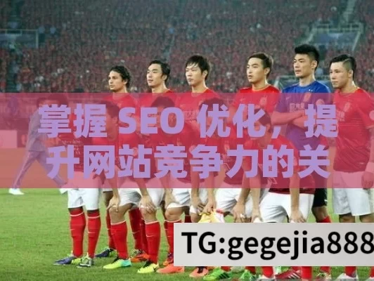 掌握 SEO 优化，提升网站竞争力的关键,SEO优化，提升在线可见性的秘诀