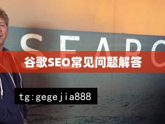 谷歌SEO常见问题解答，谷歌 SEO 常见问题解析