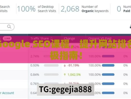 揭秘Google SEO课程，提升网站排名的终极指南！，揭秘 Google SEO 课程
