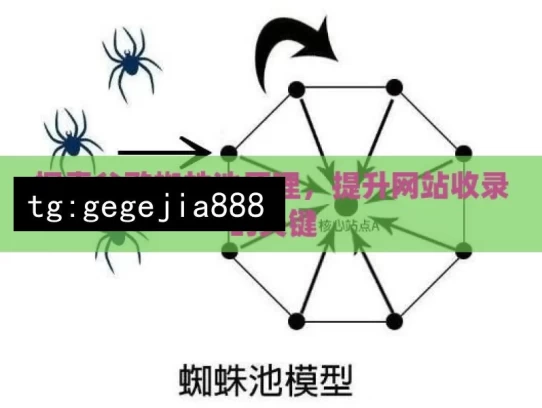 探索谷歌蜘蛛池原理，提升网站收录的关键，探索谷歌蜘蛛池与网站收录关键