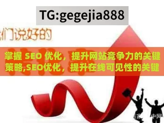 掌握 SEO 优化，提升网站竞争力的关键策略,SEO优化，提升在线可见性的关键策略