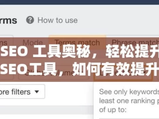 解锁谷歌 SEO 工具奥秘，轻松提升网站流量揭秘谷歌SEO工具，如何有效提升您的网站流量
