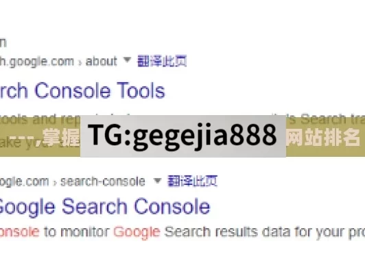 ---,掌握Google SEO工具，优化网站排名