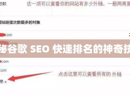 揭秘谷歌 SEO 快速排名的神奇技巧