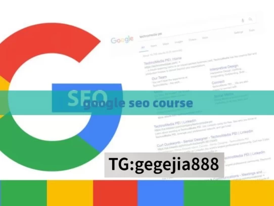 google seo course，Comprehensive Google SEO Course Insights