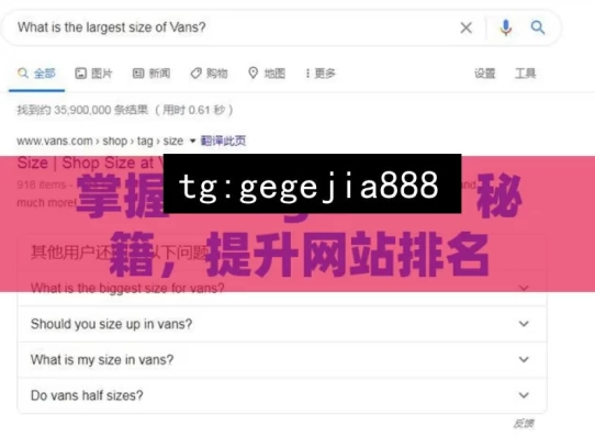 掌握 Google SEO 秘籍，提升网站排名，掌握 Google SEO 秘籍提升排名