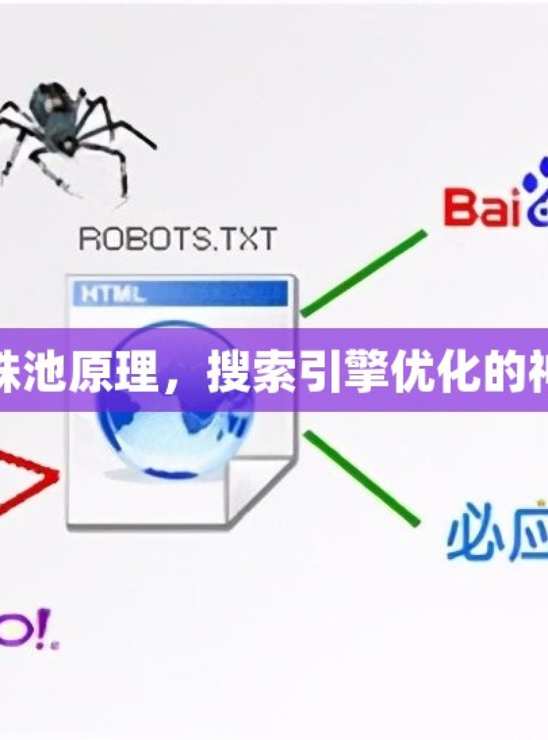 揭秘蜘蛛池原理，搜索引擎优化的神秘武器 - 