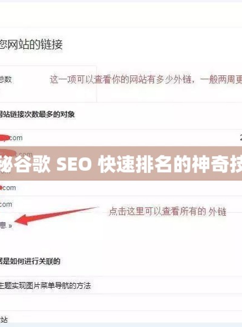 揭秘谷歌 SEO 快速排名的神奇技巧