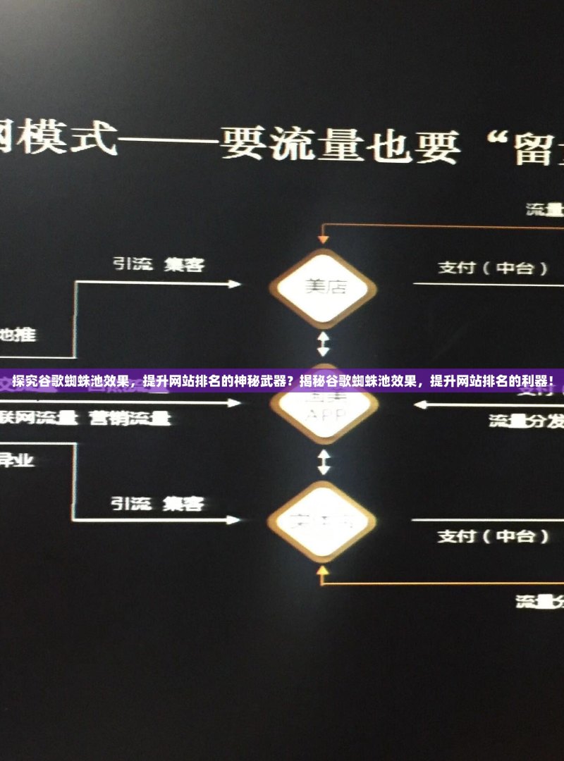 探究谷歌蜘蛛池效果，提升网站排名的神秘武器？揭秘谷歌蜘蛛池效果，提升网站排名的利器！