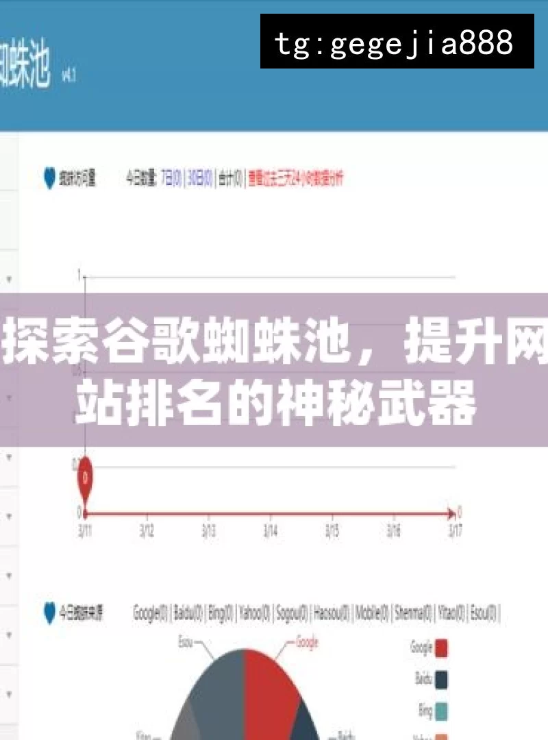 探索谷歌蜘蛛池，提升网站排名的神秘武器