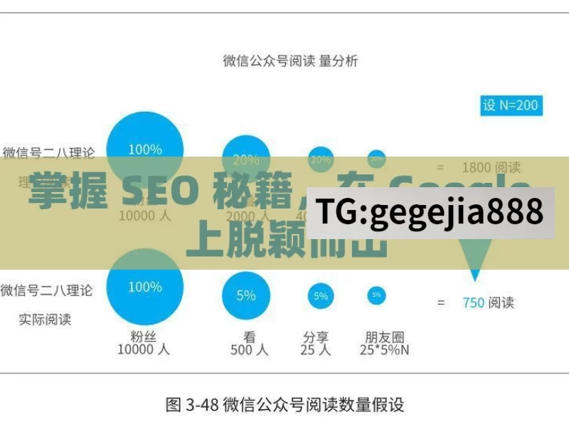 掌握 SEO 秘籍，在 Google 上脱颖而出