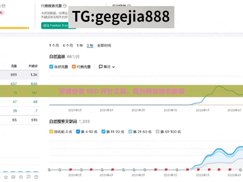 掌握谷歌 SEO 评分工具，提升网站排名秘籍