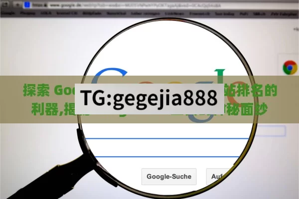 探索 Google SEO Tool，提升网站排名的利器,揭秘Google SEO工具的神秘面纱