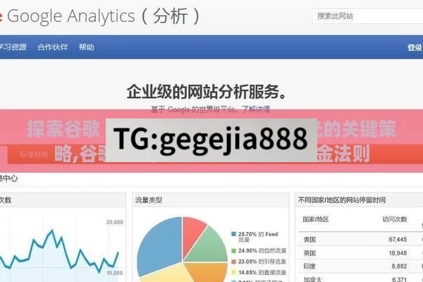 探索谷歌 SEO，提升网站流量与曝光的关键策略,谷歌SEO，提升网站排名的黄金法则