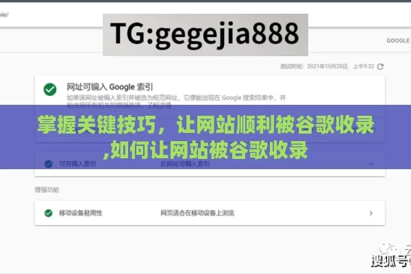 掌握关键技巧，让网站顺利被谷歌收录,如何让网站被谷歌收录