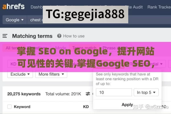 掌握 SEO on Google，提升网站可见性的关键,掌握Google SEO，提升网站排名的秘诀