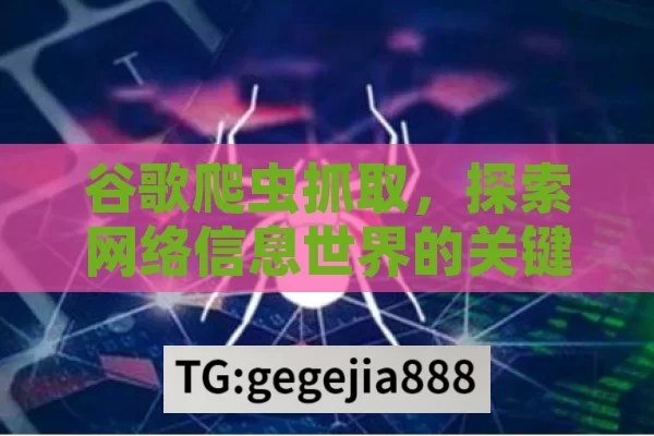 谷歌爬虫抓取，探索网络信息世界的关键,谷歌爬虫抓取，揭秘网络信息的无形收集者