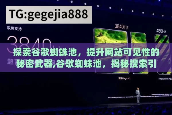 探索谷歌蜘蛛池，提升网站可见性的秘密武器,谷歌蜘蛛池，揭秘搜索引擎优化的秘密武器