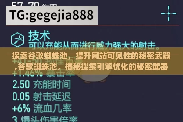 探索谷歌蜘蛛池，提升网站可见性的秘密武器,谷歌蜘蛛池，揭秘搜索引擎优化的秘密武器