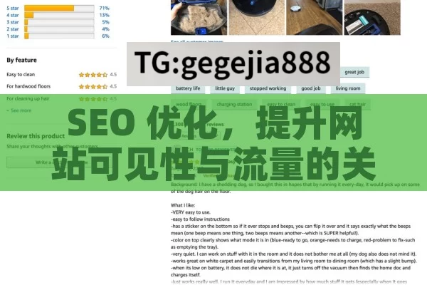 SEO 优化，提升网站可见性与流量的关键策略,提升网站流量的秘诀，SEO优化技巧