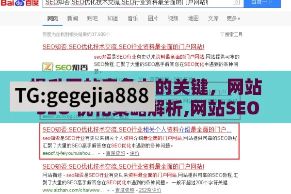 提升网站竞争力的关键，网站 SEO 优化策略解析,网站SEO优化