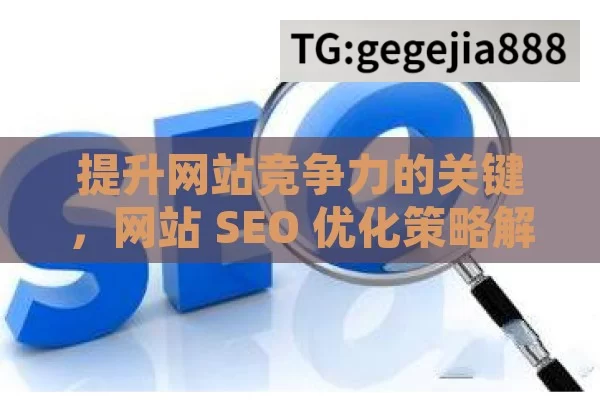 提升网站竞争力的关键，网站 SEO 优化策略解析,网站SEO优化