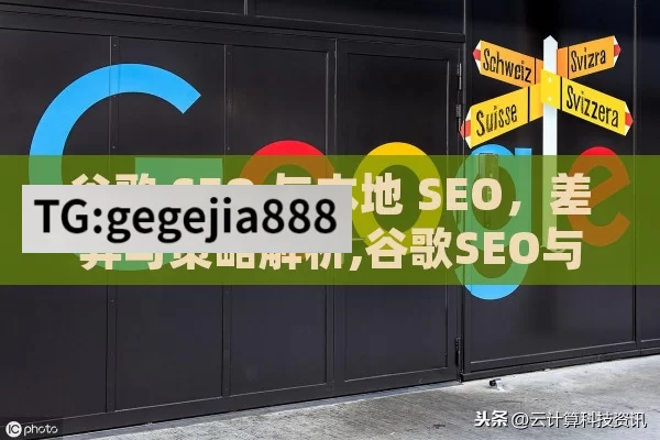 谷歌 SEO 与本地 SEO，差异与策略解析,谷歌SEO与本地SEO，策略差异与影响解析