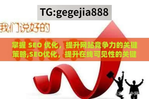 掌握 SEO 优化，提升网站竞争力的关键策略,SEO优化，提升在线可见性的关键策略