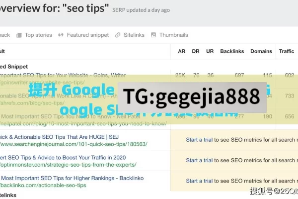 提升 Google SEO 评分的关键,提升Google SEO评分的终极指南