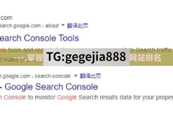 ---,掌握Google SEO工具，优化网站排名