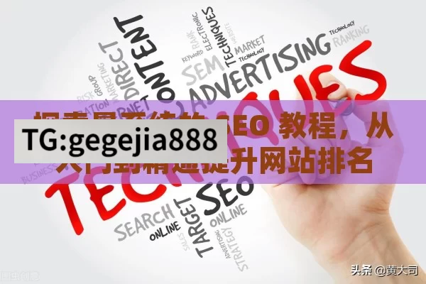 探索最系统的 SEO 教程，从入门到精通提升网站排名