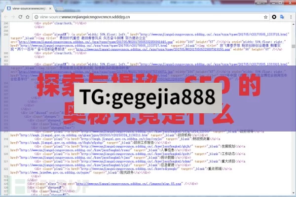 探索与揭秘，SEO 的奥秘究竟是什么